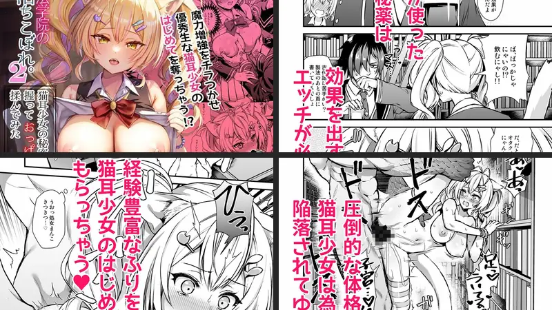 魔法学院の落ちこぼれ。2猫耳少女の秘密を握っておっぱいを揉んでみたのエロ画像